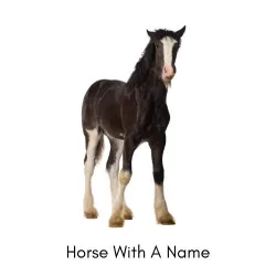 Horse With A Name LOGO